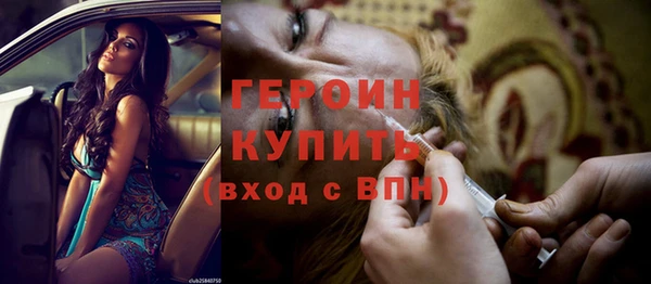 индика Богородицк
