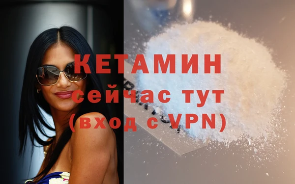 индика Богородицк