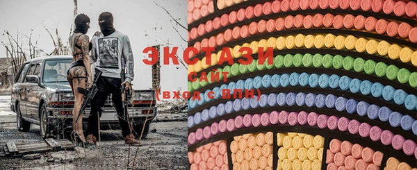 индика Богородицк