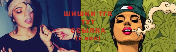 индика Богородицк