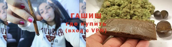 индика Богородицк