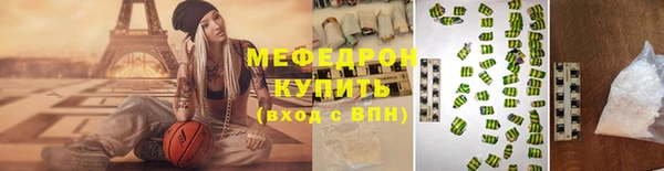 индика Богородицк