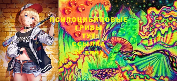 индика Богородицк