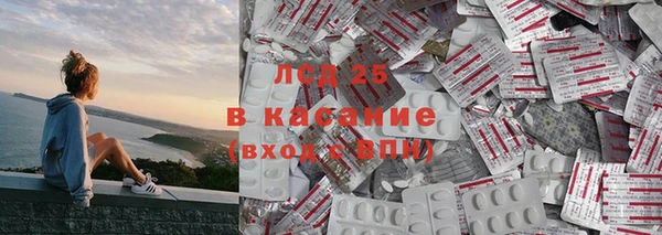 индика Богородицк