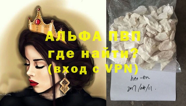 индика Богородицк